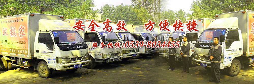 临沂蚂蚁搬家,真蚂蚁,官方网站,13145498800