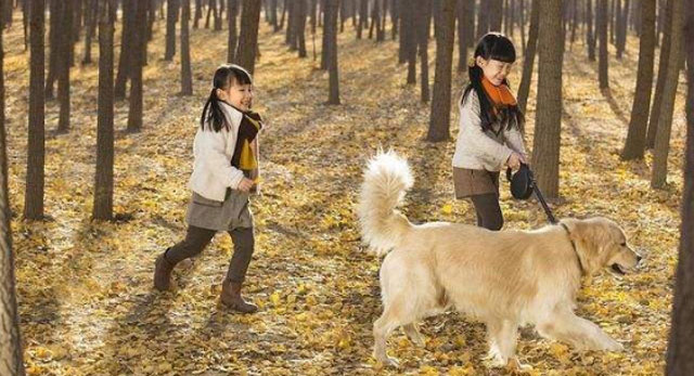 搬家时带着宠物应该注意什么