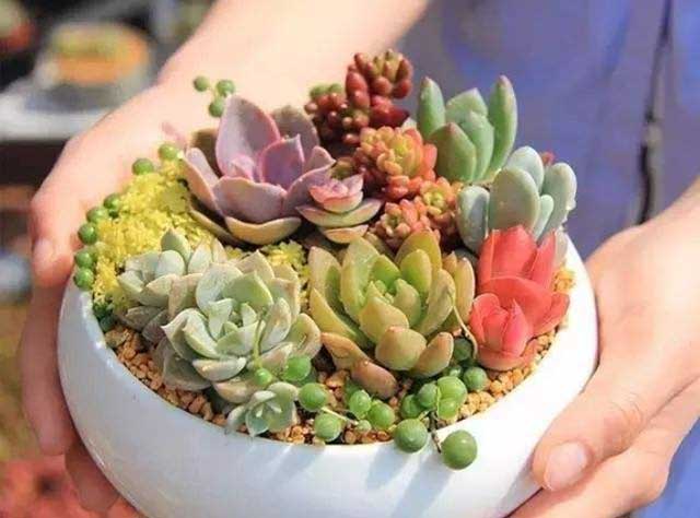 旧碗怎么处理呢！